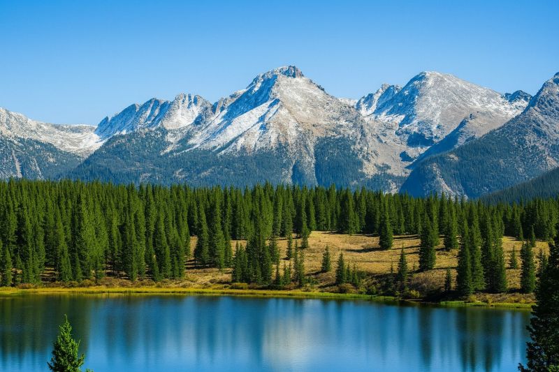 Local Carpet Installation in Lafayette, CO