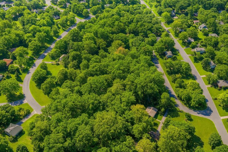 Local Carpet Installation in Florham Park, NJ