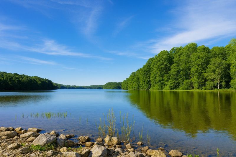 Local Carpet Installation in Burke, VA
