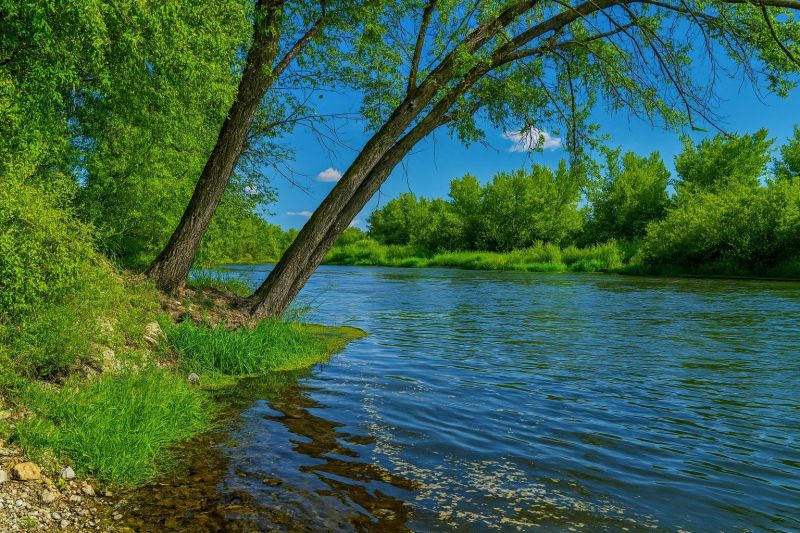 Local Carpet Installation in Middleton, ID