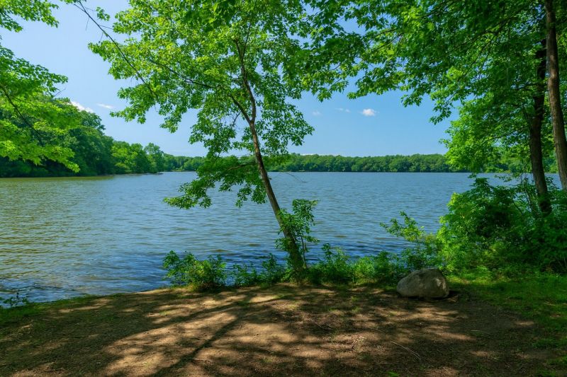 Local Carpet Installation in Richboro, PA
