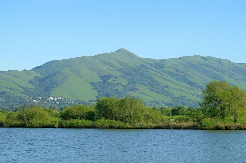 Local Carpet Installation in Fremont, CA