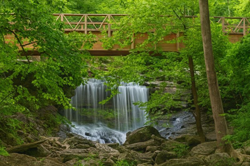 Local Carpet Installation in Bella Vista, AR