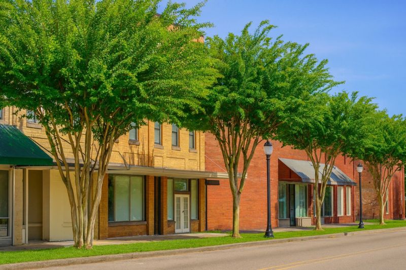 Local Carpet Installation in Chipley, FL