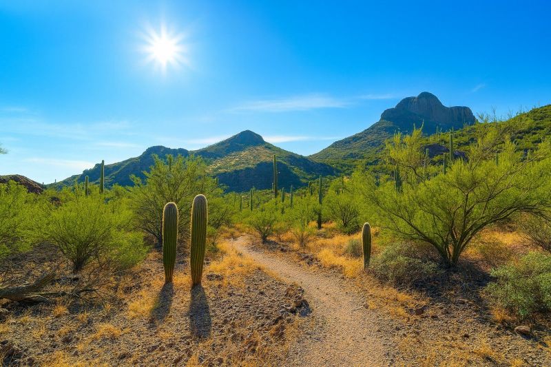Local Carpet Replacement in Marana, AZ