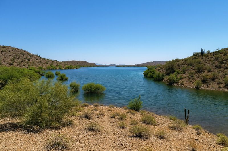 Local Carpet Replacement in New River, AZ