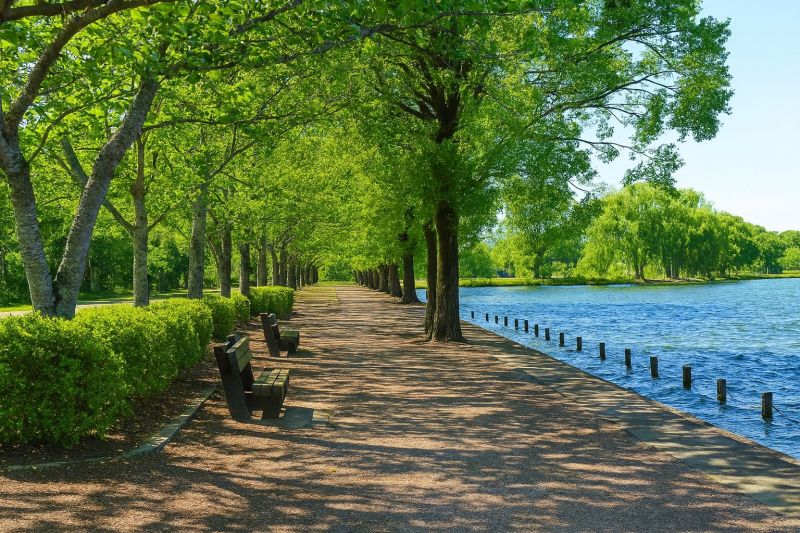 Local Carpet Replacement in High Ridge, MO