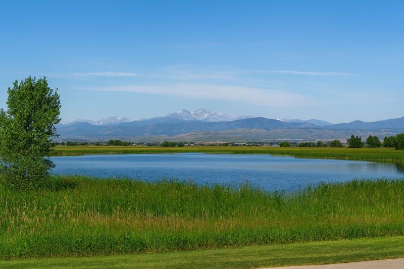 Local Carpet Replacement in Timnath, CO