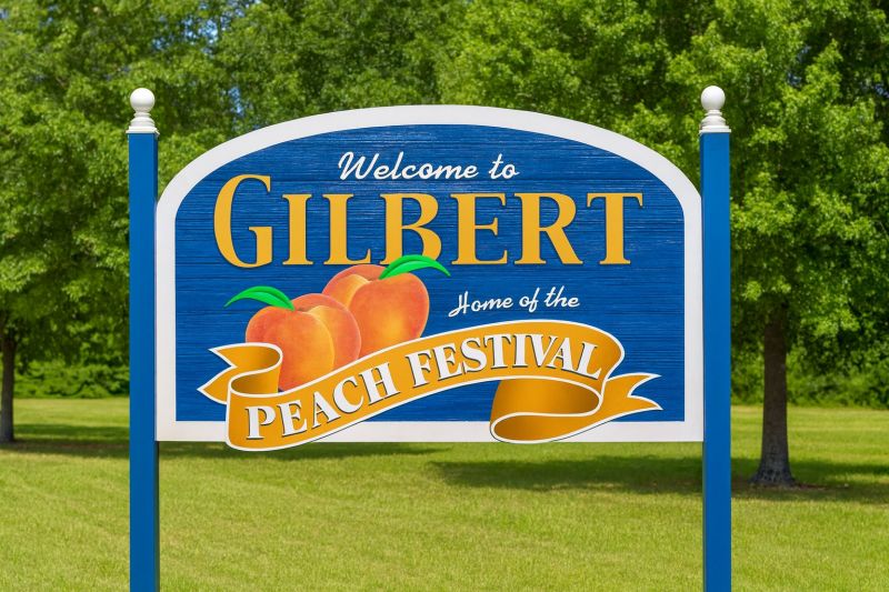 Local Carpet Replacement in Gilbert, SC