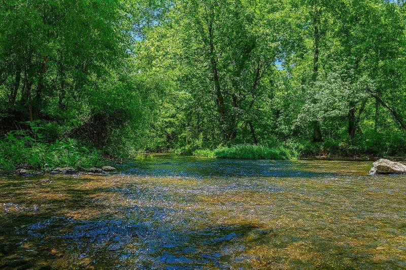 Local Carpet Replacement in Smyrna, TN