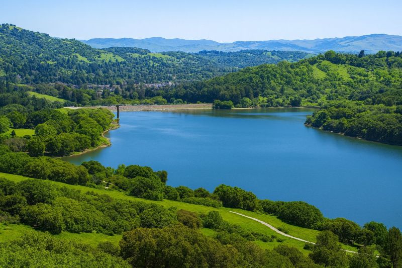 Local Carpet Replacement in Lafayette, CA