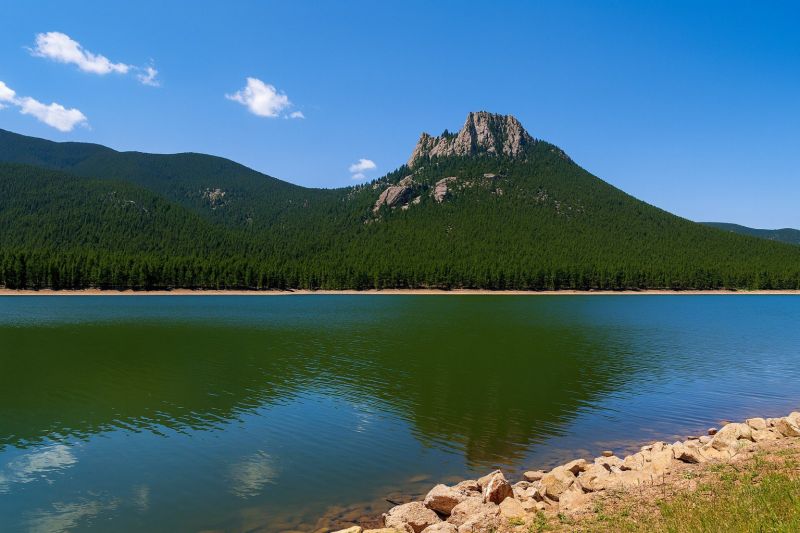 Local Carpet Service in Wellington, CO