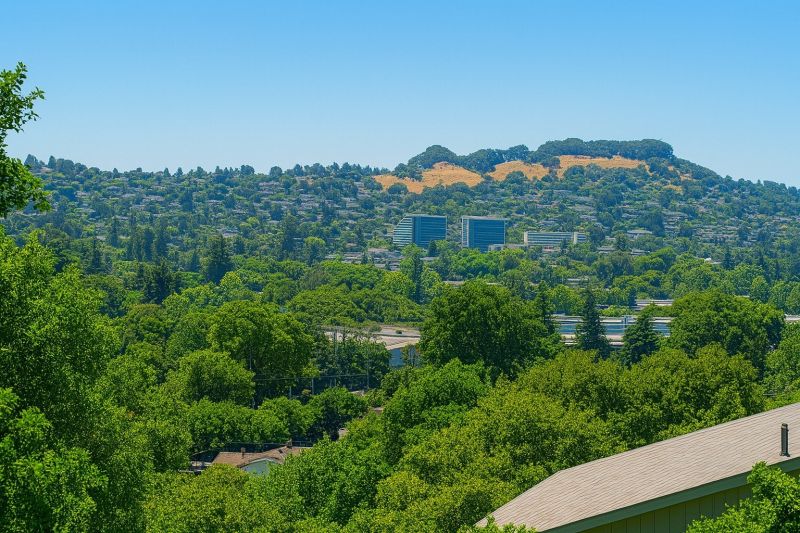 Local Carpet Service in Castro Valley, CA