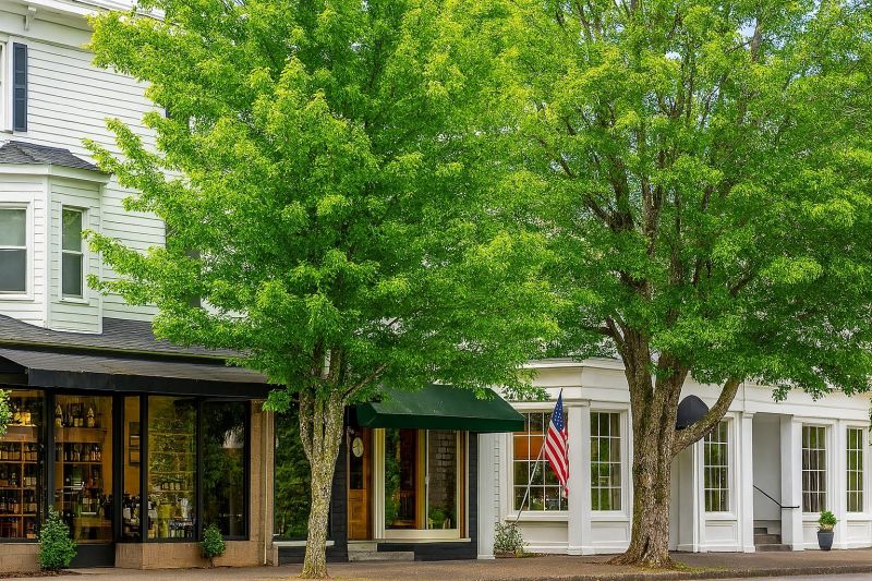 Local Carpet Service in Ridgefield, WA