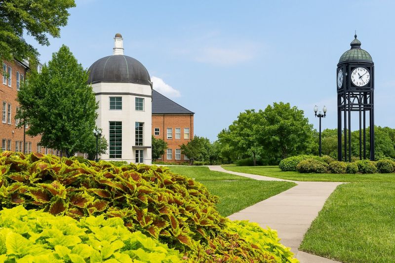 Local Carpet Service in O Fallon, MO