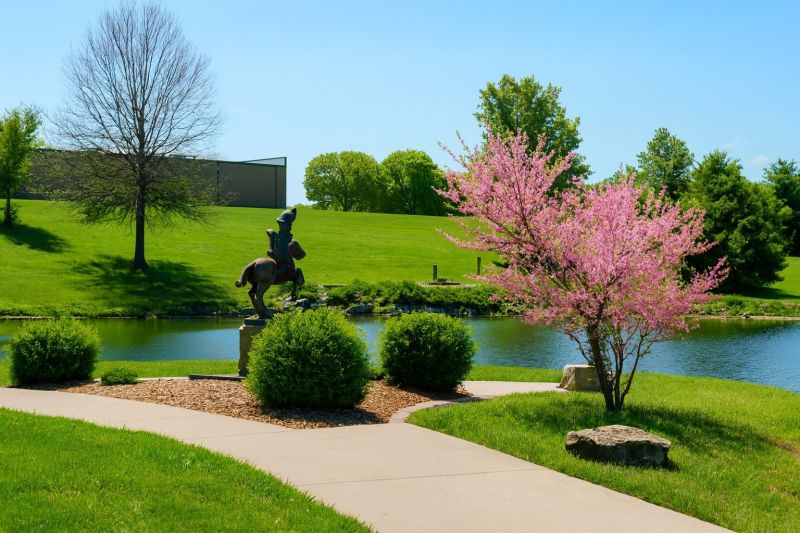 Local Carpet Service in Pleasant Hill, MO