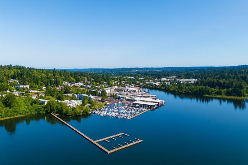 Local Carpet Service in Kenmore, WA