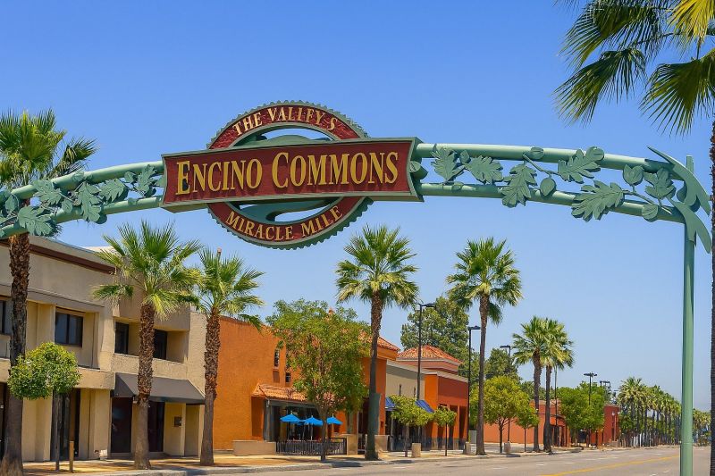 Local Carpet Service in Encino, CA