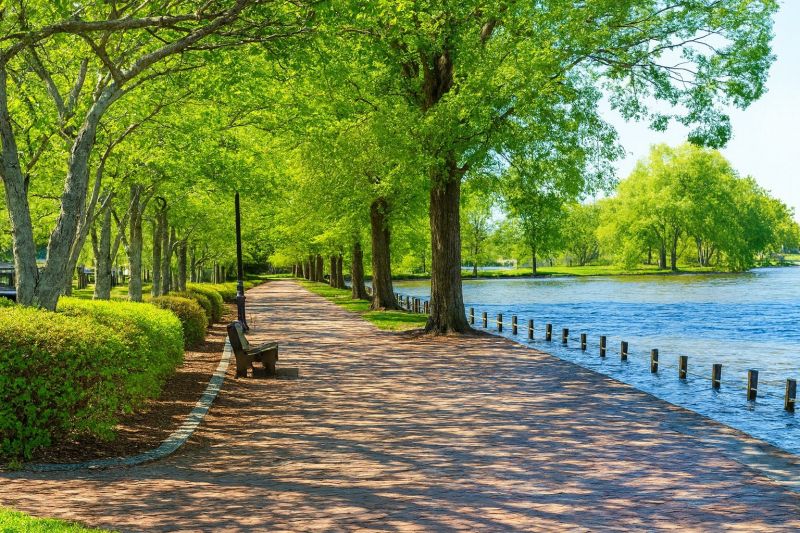 Local Carpet Service in Locust Grove, VA