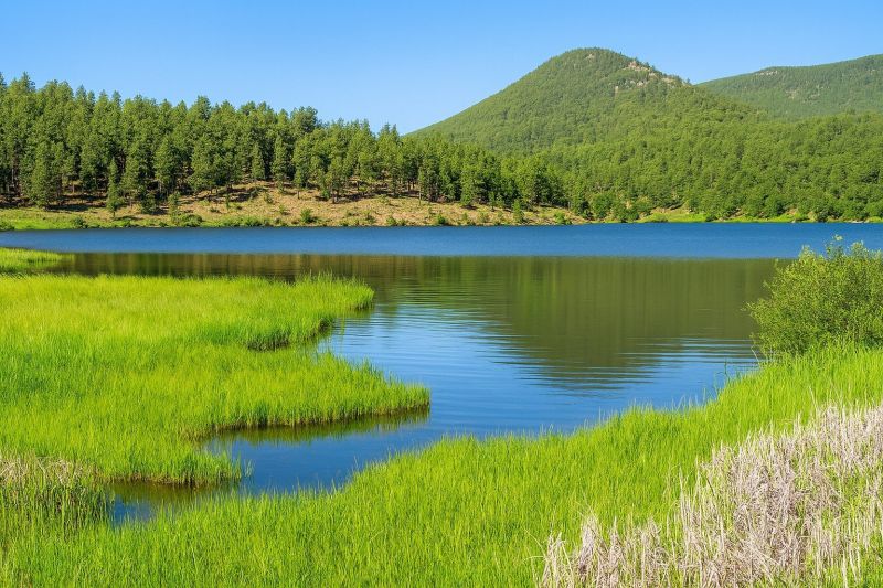 Local Carpet Service in Evergreen, CO