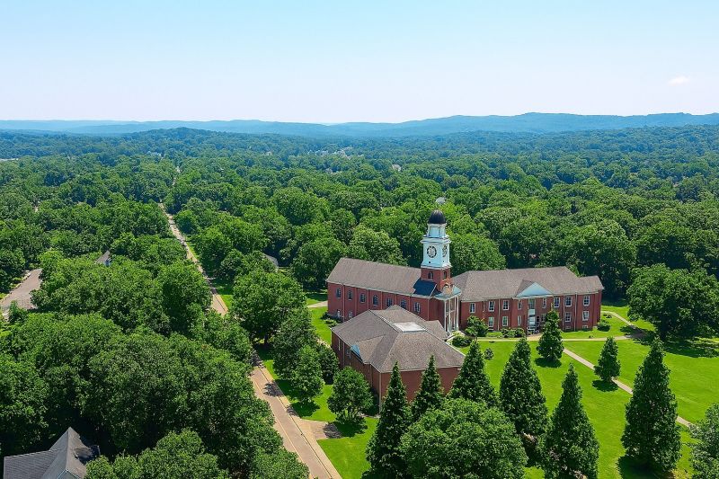 Local Carpet Service in Cleveland, TN
