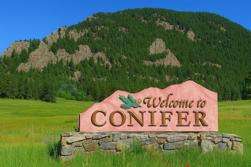Local Carpet Service in Conifer, CO