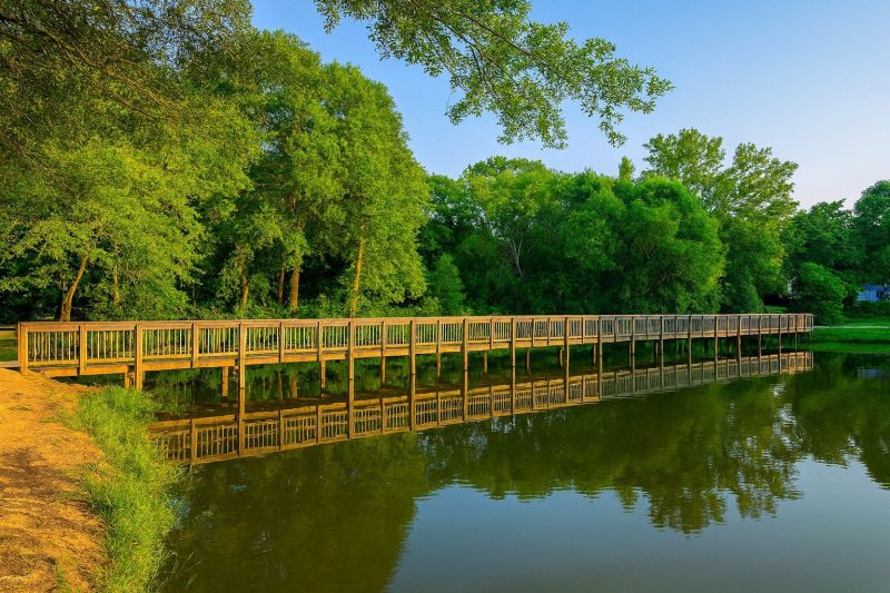 Local Residential Carpet Repair in Davidson, NC