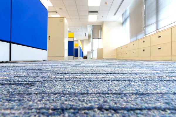 Business Carpet Cleaning Service