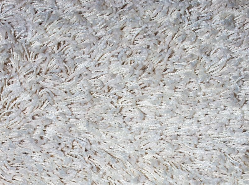 Carpet Repair Service in Denver County, CO
