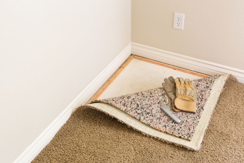 Local Carpet Replacement in Ellenton, FL
