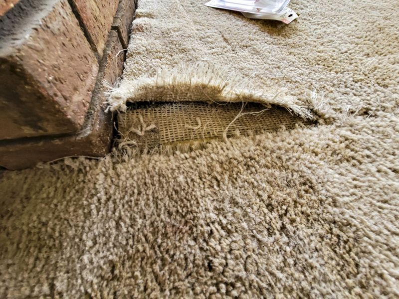 Local Residential Carpet Repair in Fort Myers, FL