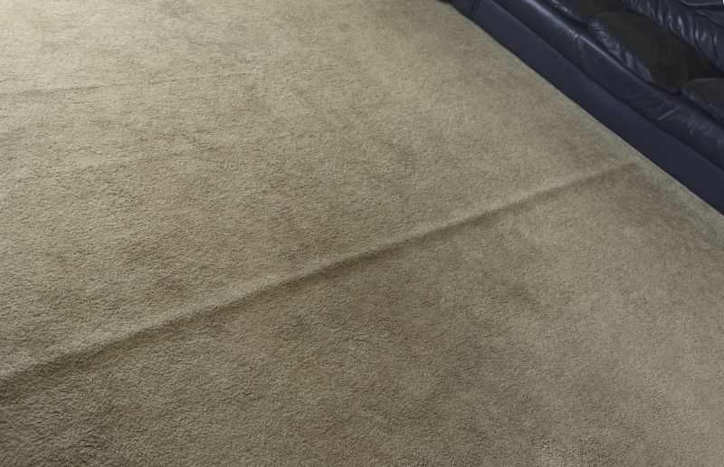 Local Residential Carpet Repair in Hermitage, TN