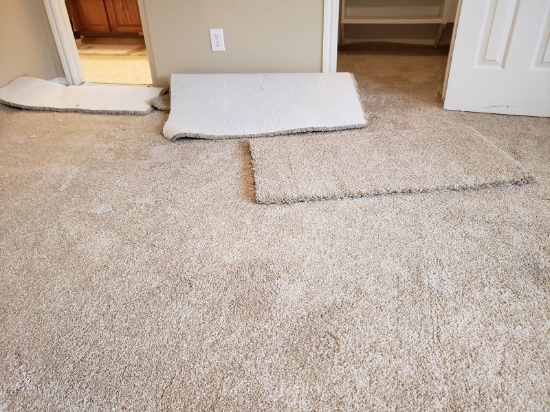 Local Residential Carpet Repair in Immokalee, FL