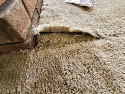Local Residential Carpet Repair in Palmetto, FL