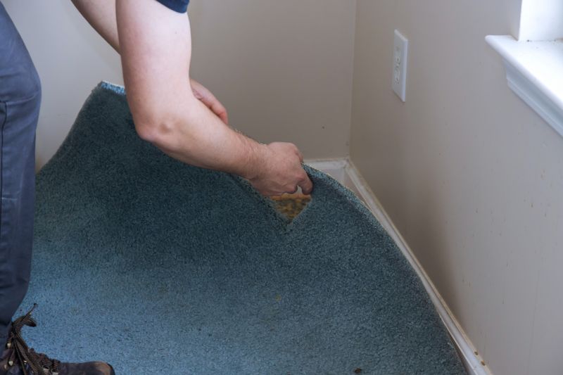 Residential Carpet Repair