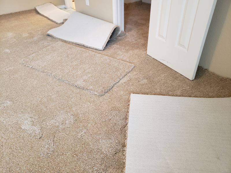 Local Residential Carpet Repair in Pontiac, MI