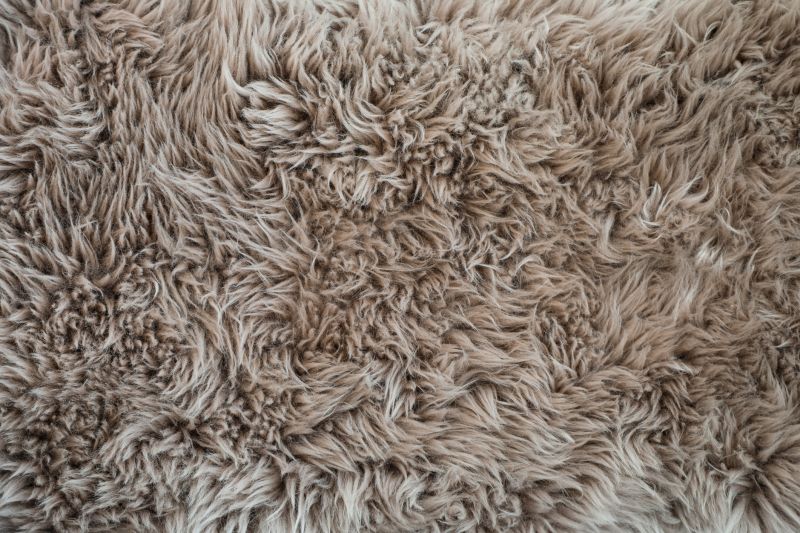 Shag Carpet Installation in Somerset County, NJ